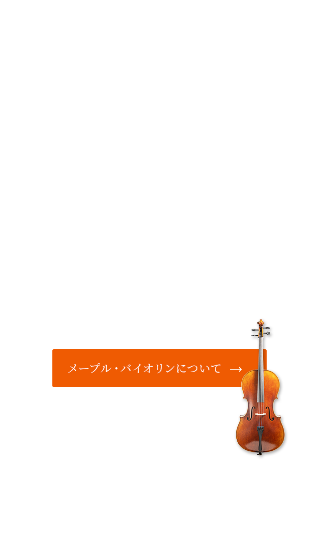 弦楽器の修理・調整・販売・製作を行う専門店 メープル・バイオリンについて
